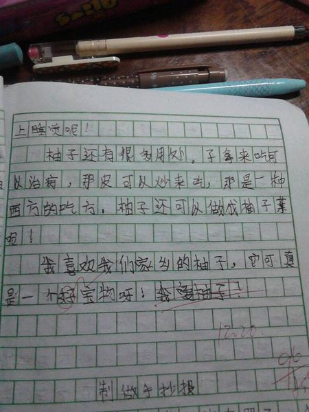 我喜欢像这样的人_400字