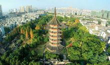 [开学第一课]破茧成蝶_900字