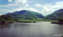 《我爱大自然2》_250字