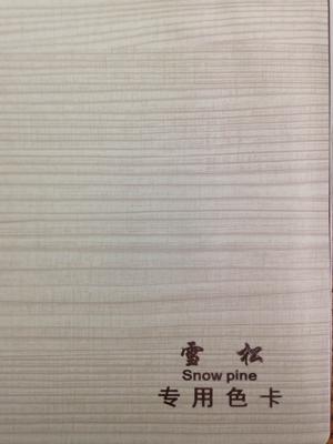 强大的巨大雪_400字