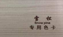 坚强不屈的大雪松_400字