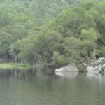 Creek Farmhouse Hillside _450字