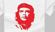 爱国人物雷锋_300字