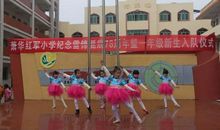 雷锋——我的榜样_350字