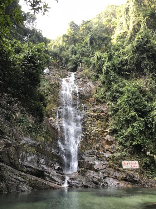旅游鼎湖山_600字