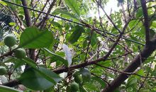 三月里的天_2000字