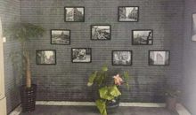 提拉米苏不失约_1200字