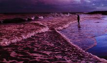 [六月征文]流年_1200字