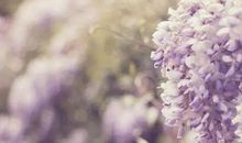 [六月征文]心若浮沉，浅笑淡然_1000字