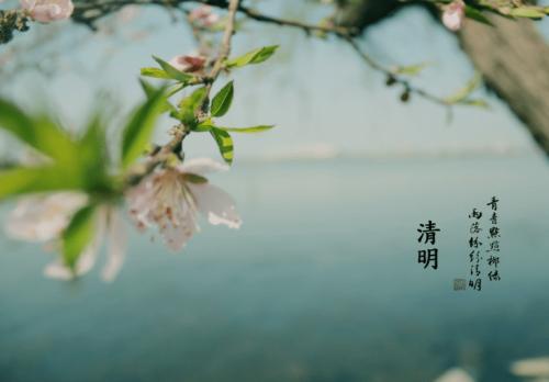 六年级日记：清明节扫描坟墓_500字