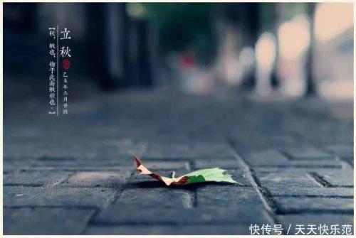 落叶知道秋天，回到原来的地方_300字