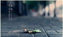 落叶知秋，回到最初的地方_300字