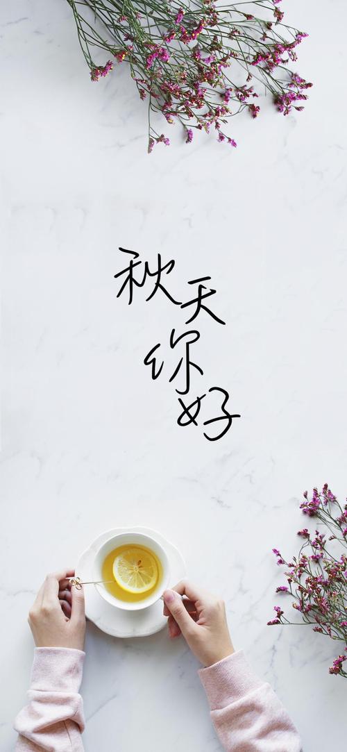 [六月文论]青年，你好！不到几年！ _500字