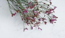 [六月征文]青春你好！年少再见！_500字