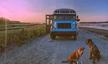 用汗水来拼搏_750字