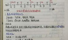 关于感悟的作文：生命的感悟_650字