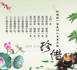 情绪上的构成：理想报价_800字