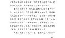 人物优美段落：母亲段落_650字