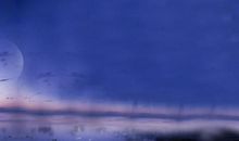 天空下的永恒_1000字