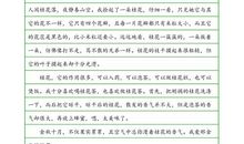 关于少先队建队60周年的作文1000字：永远飘在记忆里的一抹红_1200字