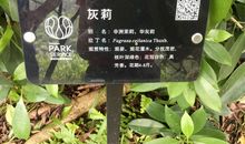 军博园之旅3_350字