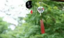 小草的诉说_300字