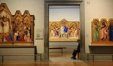 觉醒吧！人类_650字