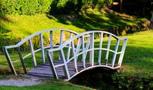 美丽的小池塘_400字