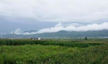 乡村的守望者_1500字