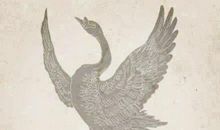 丑小鸭变天鹅_400字