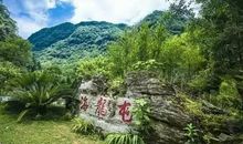 东游海龙囤_900字