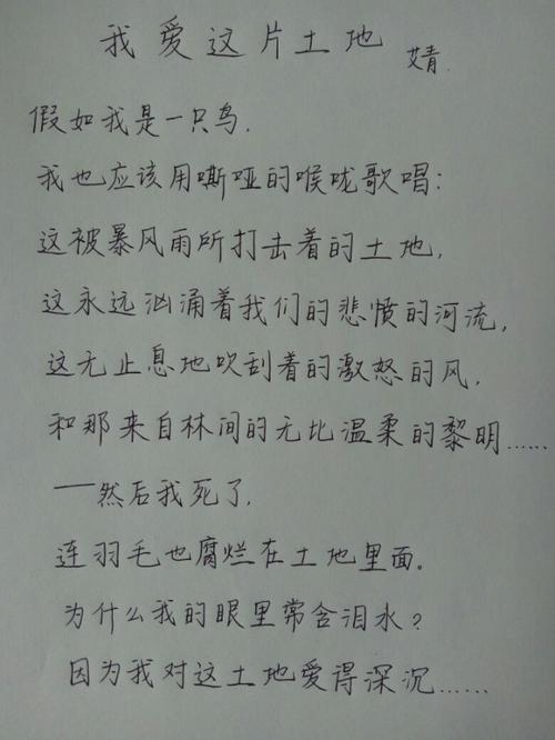 我喜欢这片土地_450字