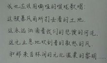 我爱这片土地_450字