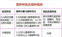 克隆的爸爸妈妈_1000字