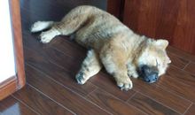 我们彼此的回忆_2000字