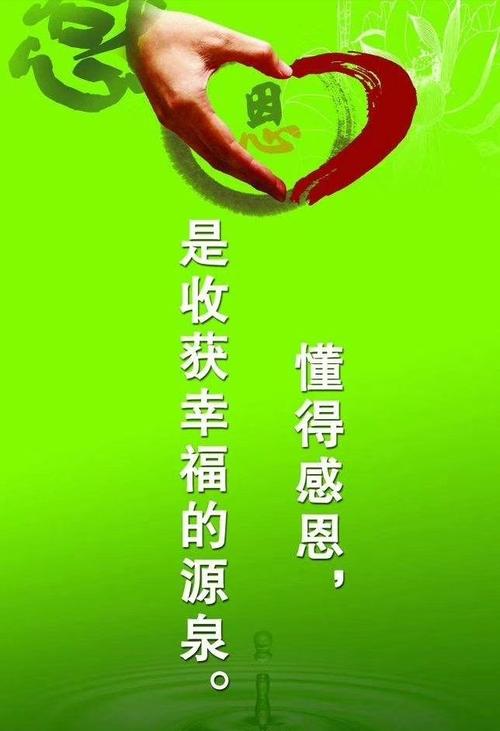 自信+努力=成功_450字