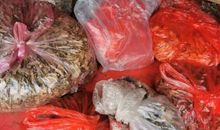 少先队建队61周年演讲稿：时刻准备着_650字