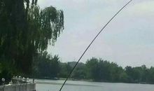 钓鱼的技术_350字