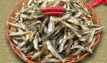 小鱼和小河_450字