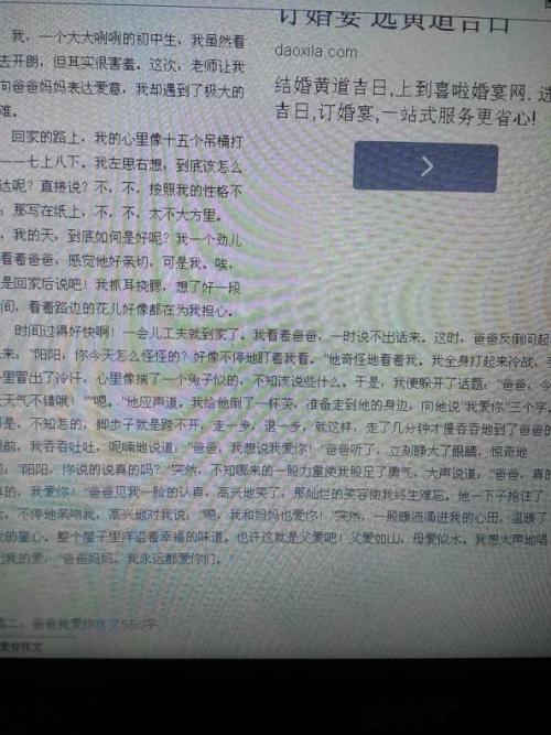 爸爸，我爱你_300字