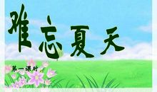 难忘的夏天_900字