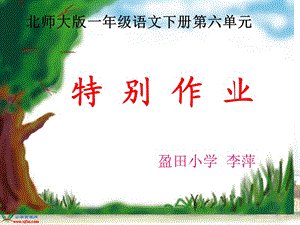 一份特殊的工作_550字