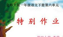 一个特别的作业_550字