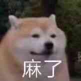 沉默的雨，我可以很好_900字