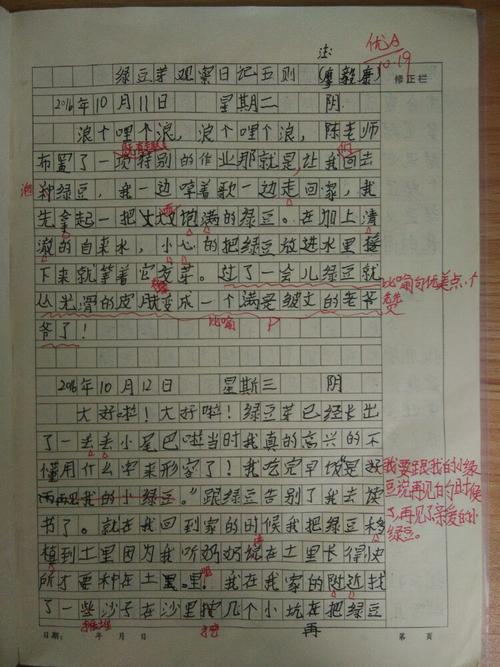 六年级日记：观察绿豆豆芽_450字