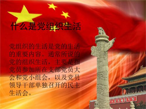 有意义的活动_250字