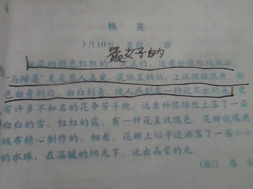 六年级日记：学会游泳（3）_350字