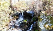 翠华山游记_1500字