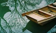 春携着梦幻_450字