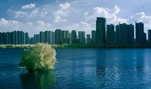 小河变清了_250字